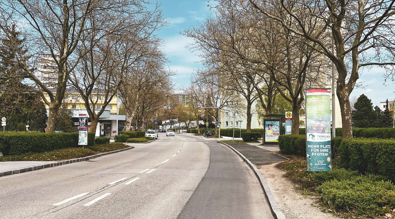 St.Pölten Josefstrasse 118 Blick stadteinwärts auf die Baumallee, Bäume ohne Blätter