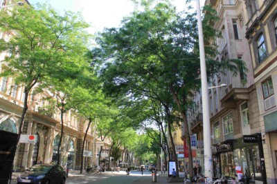 Foto der Mariahilferstraße mit vielen Bäumen