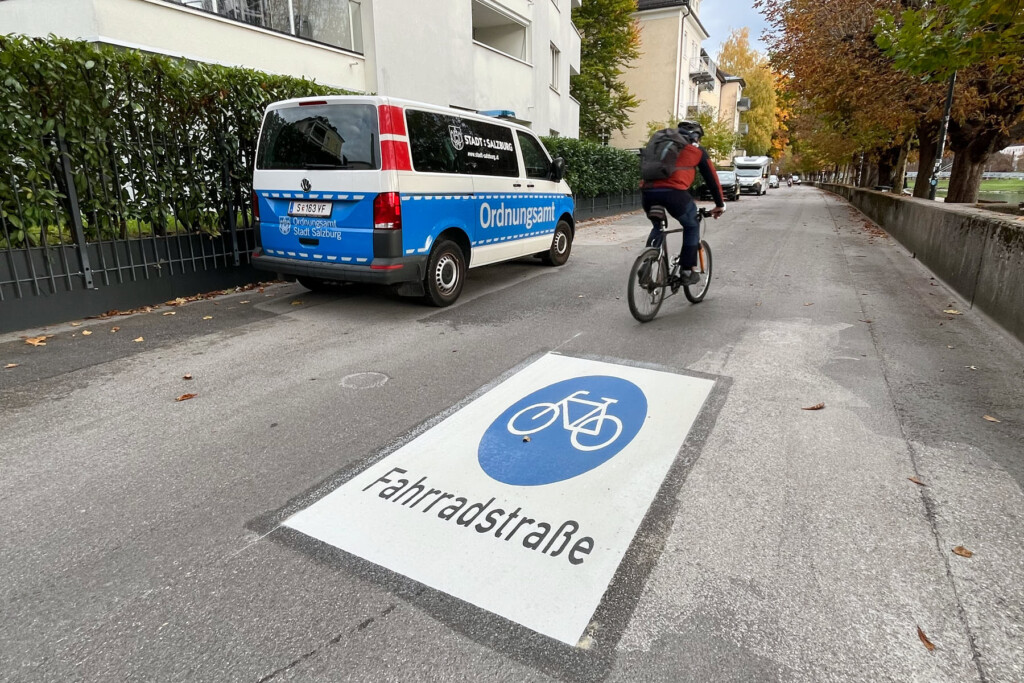 schmälere Straße mit Wohnhaus im Hintergrund, Ein Radfahrer von hinten. Große Bodenmarkierung "Fahrradstraße"