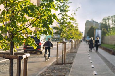Straße mit Radweg, Bäume nund Gehweg, verschwommen