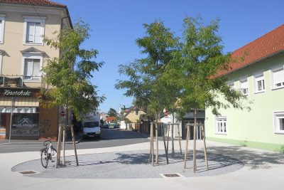 Ein Foto von Bäumen (Gleditsia triacanthos) am Vorplatz Lendhotel; Foto aufgenommen 2 Jahre nach der Pflanzung